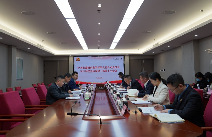 尊龙集团党委书记、董事长任丁出席安逸酒店集团2022年度党员领导干部民主生活会